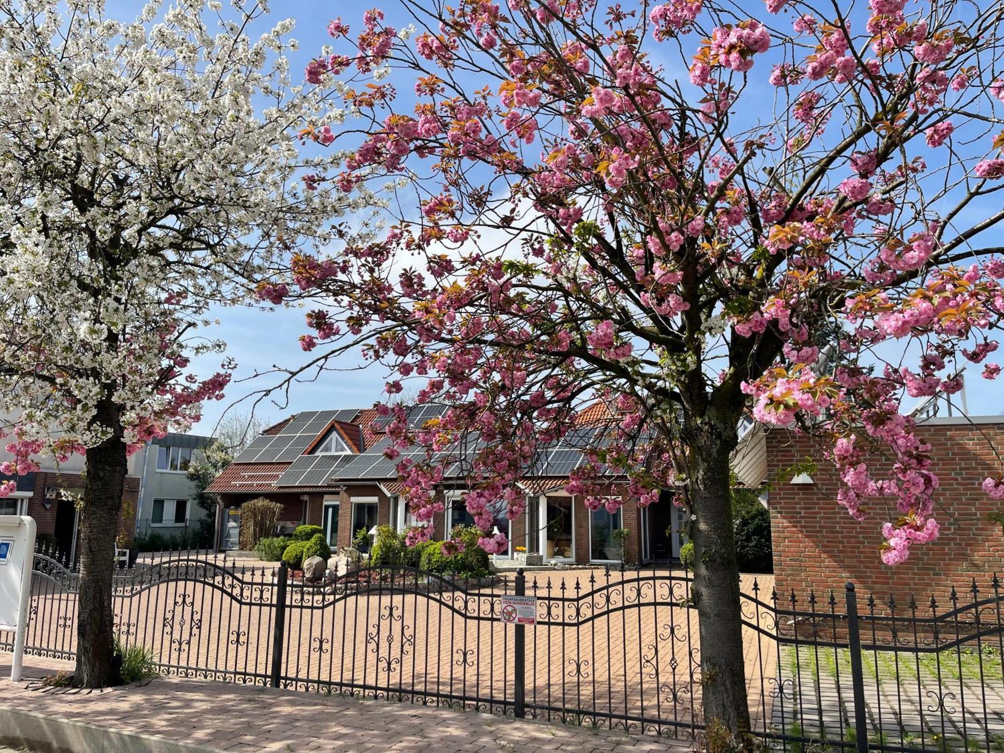 Modern House Gehrden Auf 2 Etagen, Nice Garten, Barbecue, Contactless Check-In, Free Parking المظهر الخارجي الصورة